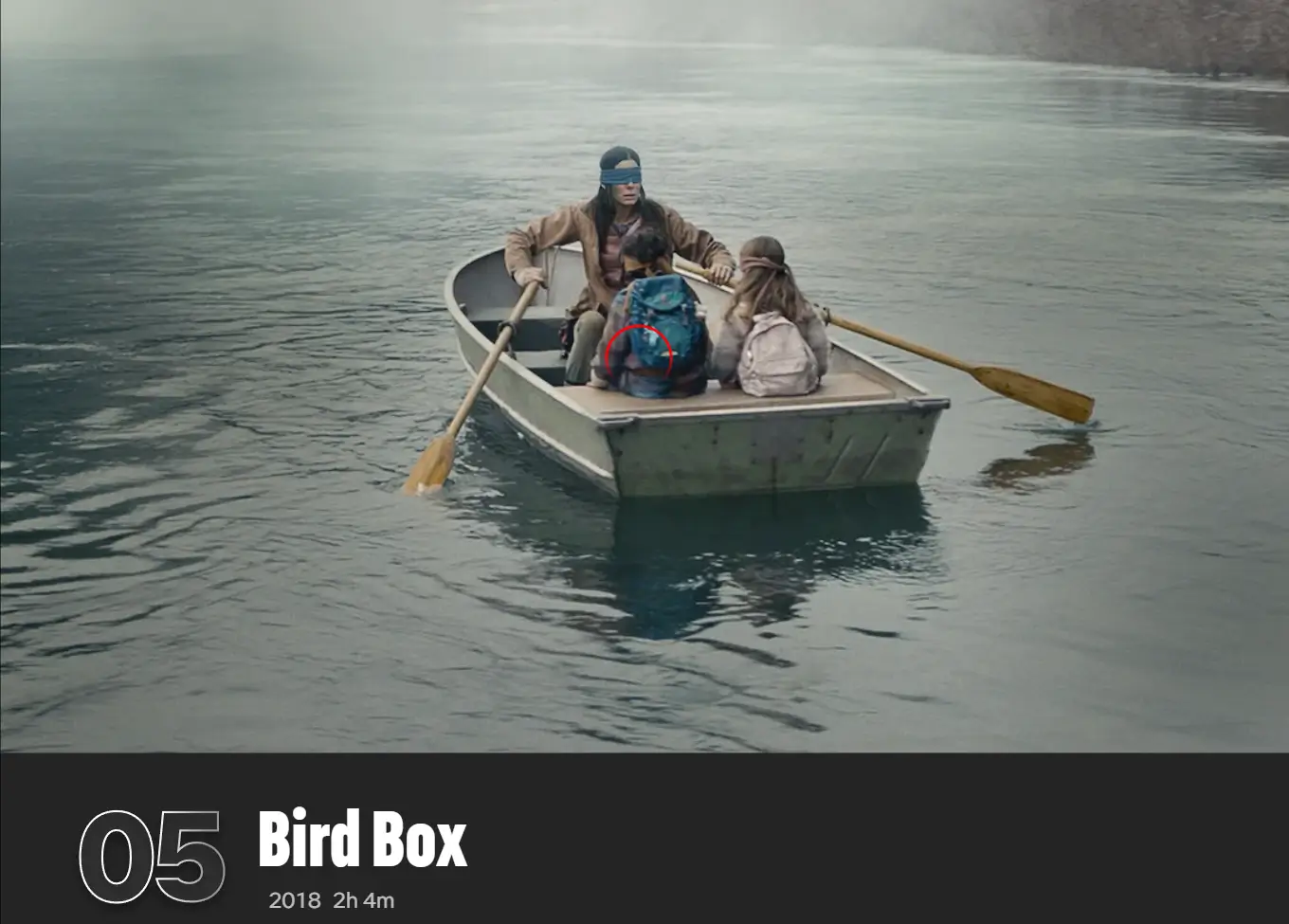 bird box